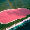 신비한 호주의 핑크색 호수