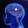 2030년에는 인간의 뇌는 클라우드와 연계, 지능이 한없이 확장?