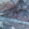 고대 의식의 제물? 3200년 전 청동기 시대의 칼 발견