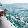 미 해군, 해저에서 발전하고 드론을 충전할 수있는 "해저 충전 스테이션" 개발