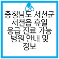 충청남도 서천군 서천읍 휴일 응급 진료 가능 병원 안내 및 정보