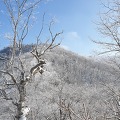 홍천 구룡령 약수산의 겨울