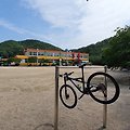 2021.6.5 명도리 임도 (호월1리-정림2리) - 구수곡 자연휴양림