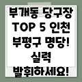 부개2동 당구장 BEST 5: 인천 부평구 추천 당구장