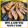 평택 소사벌 삼겹살 고기 맛집 육사육구 6469