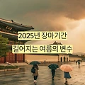 2025년 장마기간, 길어지는 여름의 변수 완벽 대비 가이드