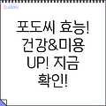 포도씨추출물 6가지 놀라운 효능: 건강과 미용에 도움되는 효과 지금 확인하세요!