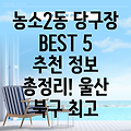 울산 북구 농소2동 당구장 BEST 5: 추천 정보 총정리