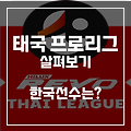 태국 프로축구 타이리그1 살펴보기 태국리그 한국선수는?