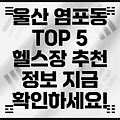 울산 북구 염포동 헬스장 TOP 5: 추천 정보 공유