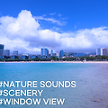 [바다풍경영상] 하와이 알라모아나비치의 시원한 해변풍경 - 자연풍경영상, 창문풍경영상, 힐링영상, 파도소리ASMR, 마음소풍