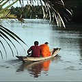 태국 암파와에서의 아침, 배를 타고 온 스님에게 공양을 하다.
