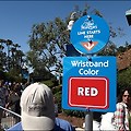 시월드 샌디에고의 멋진 돌고래 & 서커스 쇼 - 블루 호라이즌(Blue Horizons) [미국 렌터카 여행 #17]