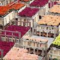 [네덜란드 #044] 알스미르 생화 경매장에서 많난 수많은 꽃들