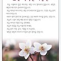 오늘 피어난 사랑은