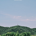[풍경] 울산 태화강 대공원 양귀비축제 - 니콘 D7000 시그마 아트 사무식 35mmF1.4