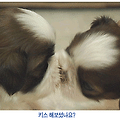 ... 사랑을 해보신적 있나요?