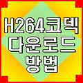 h264 코덱 다운로드 방법 설명