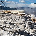 미국 서부여행 옐로스톤 국립공원 #049 - 맘모스 핫 스프링스 / 어퍼&로워 테라스