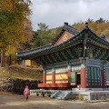 단풍이 아름다운 고성군 금강산 화암사의 가을풍경 -2018.10.28