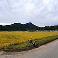 2020.10.11 말루길 - 종합운동장 - 수곡리 - 성류굴
