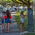 하와이 와이키키 주차정보 2019 - 유료주차 & 무료주차 완전정복
