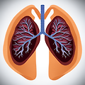 폐 가래제거 방법 영양제 추천