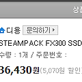 [구매][SSD] STEAMPACK FX300 SSD 256G