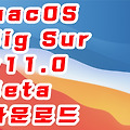 macOS Big Sur v11.0 Beta 다운로드