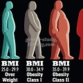 여자 정상 체중 기준과 비만도 계산 방법