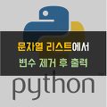 [Python] 문자열 리스트에서 특정 변수 제거 후 출력
