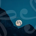 사주풀이로 보는 이름의 운명: 개명유명한곳에 기대지 않는 진짜 활용법