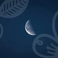 고민상담전화로 빠르게 연결해 내일의운세 확인하기