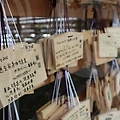 개띠운세를 무료사주로 알아보는 실전 활용 흐름과 주의점