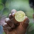 식물보호산업기사학점은행제: 고수익을 위한 당신의 첫걸음!
