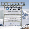 캐나다 여행 #34 - 준북극의 마을 처칠, 영하 30도에 했던 설원 나들이..