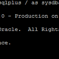 (Silent 패치) Oracle10g Patchset 10.2.0.5.0