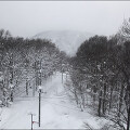 아키타 여행 #03 - 눈내린 일본 아키타 고원에서의 산책
