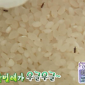 쌀벌레 생긴쌀 먹어도 될까 쌀벌레 퇴치 방법 정리