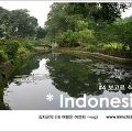 인도네시아 여행기 #04 - 보고르 식물원