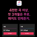 음원 서비스 월 3만원대, 애플 뮤직 유튜브 레드가 이익