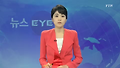 원인불명 주저앉는 소 유통 일당 입건