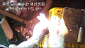 복쟁이, 복어손질, 복어손질과정을 보십니다.