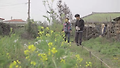 생명력이 파릇파릇! 슈퍼에 가지 않고도 특별한 그들의 저녁식사! / 이효리의 GOLDEN12 