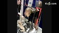 어쩌다 여기에 끼었지