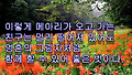 ★★사람이 하늘처럼★★