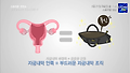 그녀들의 두번째 심장! 자궁의 모든 것