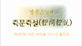 제447회 어린 아이돌 가수가 좋은데_법륜스님의 즉문즉설