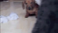 여고개담