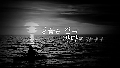 오월의 노무현 (1)